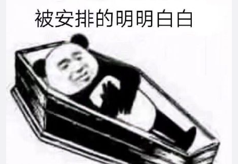 被安排得明明白白