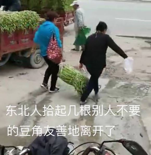 求求你摇了我8是什么梗 东北版饶了我吧