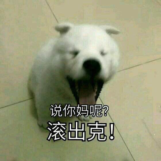 滚出克表情包 gck什么意思 