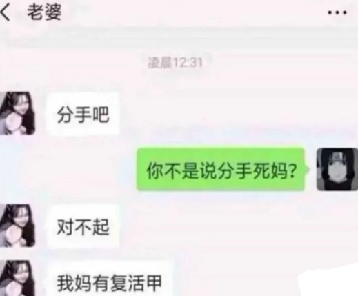 我妈有复活甲