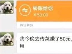 传菜赚了五十是什么梗 后续男主自尽了?