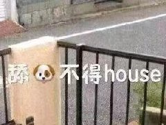 舔狗不得house什么意思 为什么说舔狗biss