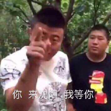 <a href='/615.html' target='_blank'><u>你来沈阳我等你</u></a>什么梗 出自东百三忍经典老番