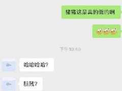 腾杨天下开设赌场什么梗 山泥若落网了