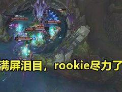 rookie尽力和泪目是什么梗