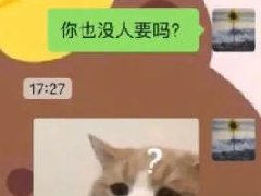 你也没人要吗什么梗 怎么回复相亲对象