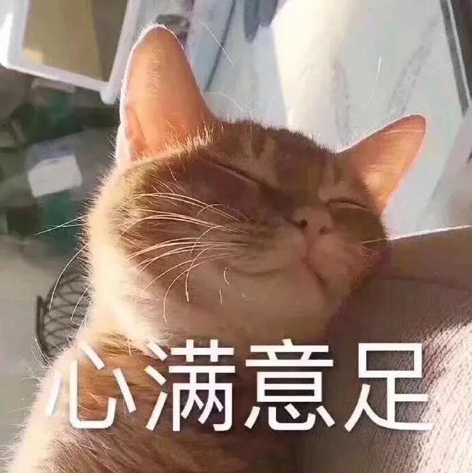 看满离表情包-猫咪心满意足