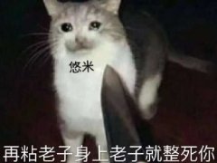 猫爬架