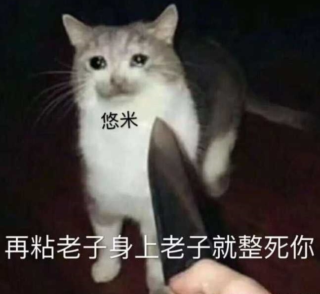 lol猫爬架什么意思 悠米表情包