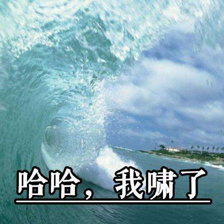 我想啸啊表情包
