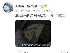 宁王复出无望 高不成低不就尬住了