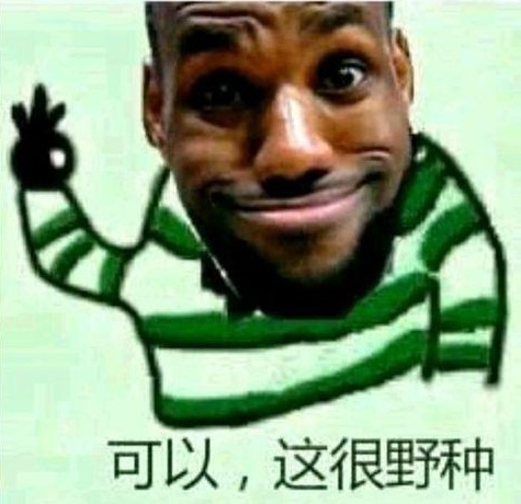 可以这很野种表情包