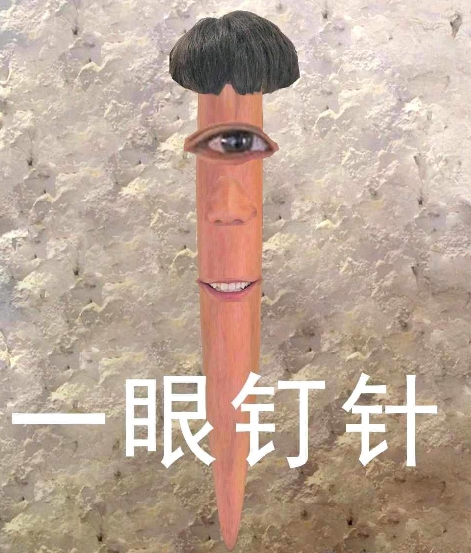 一眼钉针