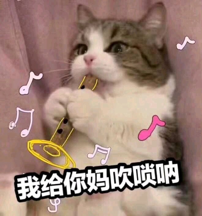 我给你妈吹唢呐表情包