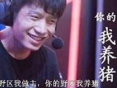 你的野区我养猪什么梗 出自厂长怒喷韦神