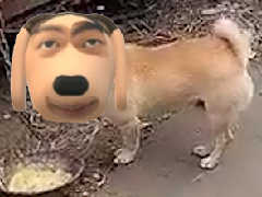 选购