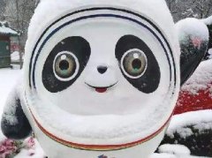 冰墩墩自由什么意思