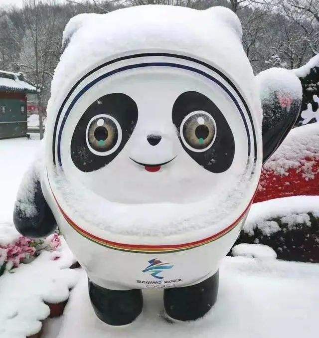 冰墩墩雪人真实图片图片