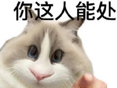 这人能处有事真上什么梗 因《开端》而火