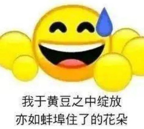 我于黄豆之中绽放表情包