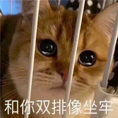 和你双排像坐牢表情包