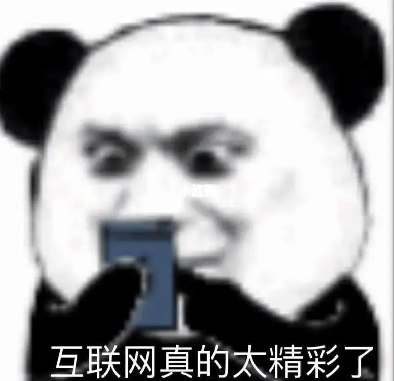互联网真是太精彩了熊猫头表情包