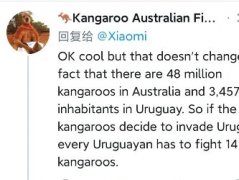 袋鼠入侵乌拉圭是什么梗