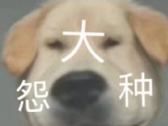 大怨种什么东西 大怨种还是大冤种