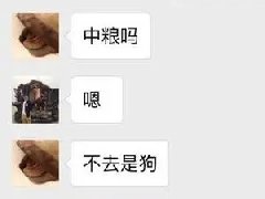 中粮探险不去是狗什么梗