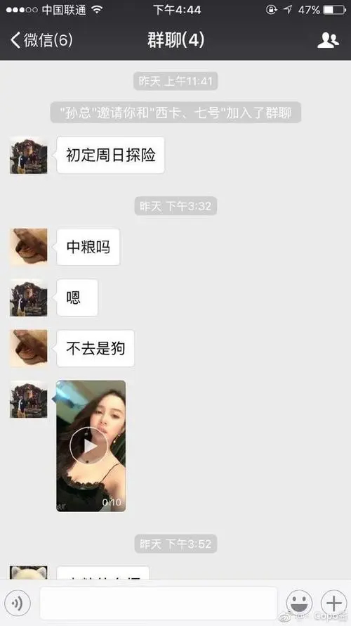 中粮探险不去是狗截图