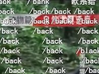 /back是什么梗 伪装成互动指令的弹幕梗