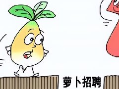 萝卜招聘是什么意思