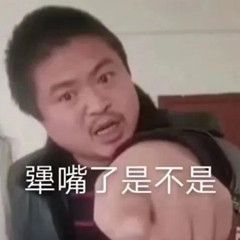 丽丽犟嘴了是不是表情包