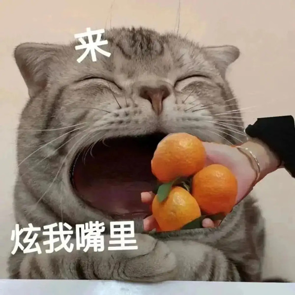 炫我嘴里猫猫表情包