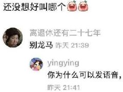 你的评论怎么有声音是什么梗