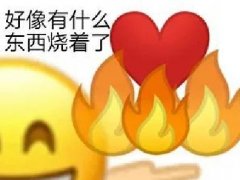 好像有什么东西烧着了什么梗