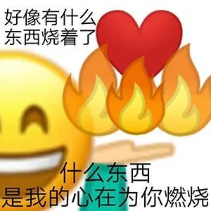 好像有什么东西烧着了表情包