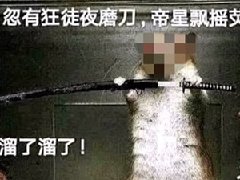 忽有狂徒夜磨刀什么梗 这句诗为什么哈人
