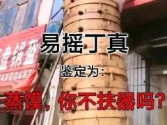 蒸馍你不扶器吗什么意思 出自易摇丁真表情包