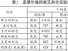 原皮比皱皮多是什么梗 孟德尔实验揭示原粥律